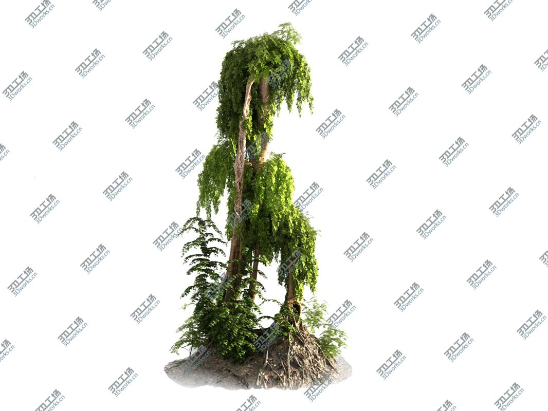 images/goods_img/20210113/Jungle Forest  Ecosystem Pack 20 3D model/5.jpg